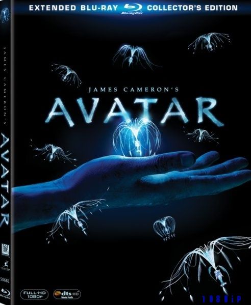 avatar_extended.jpg