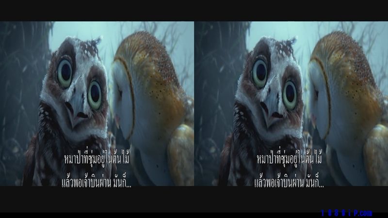 Untitled1.jpg