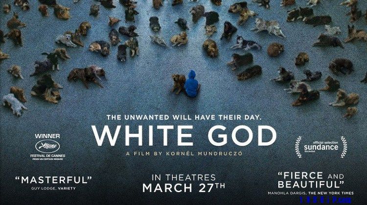 White God (2014).jpg